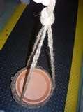 Bird Feeder Do Birds Like Best Bird Feeder Do Birds Like Best