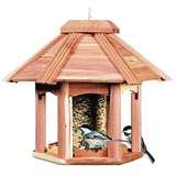 Bird Feeder Do Birds Like Best images