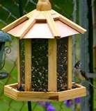 Bird Feeder Names Bird Feeder Names