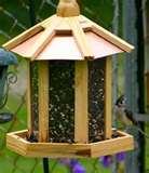 Bird Feeder Names