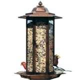 images of Bird Feeder Do Birds Like Best