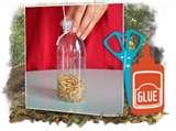 Bird Feeder Problems pictures Bird Feeder Problems pictures