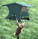 Squirrel Proof Bird Feeders Heritage Farms pictures