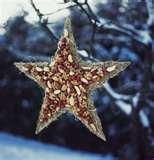 Bird Feeders Nuts pictures Bird Feeders Nuts pictures