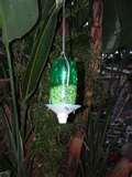 Bird Feeder Do Birds Like Best photos Bird Feeder Do Birds Like Best photos