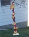 Bird Feeder Kids photos Bird Feeder Kids photos