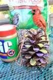 pictures of Bird Feeder Crisco pictures of Bird Feeder Crisco