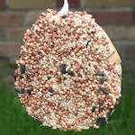 pictures of Bird Feeder Bagel