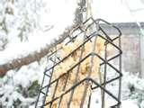 images of Bird Feeder Crisco