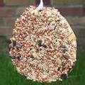 Bird Feeder Bagel images Bird Feeder Bagel images
