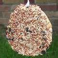 Bird Feeder Bagel images