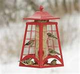 Bird Feeders Unique Design