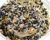 Bird Feeder Bagel pictures Bird Feeder Bagel pictures