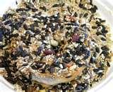 Bird Feeder Bagel photos Bird Feeder Bagel photos