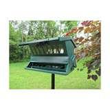 Squirrel Proof Bird Feeders Heritage Farms Squirrel Proof Bird Feeders Heritage Farms