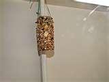 Bird Feeder Kids images Bird Feeder Kids images