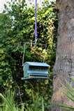 photos of Squirrel Proof Bird Feeders Heritage Farms photos of Squirrel Proof Bird Feeders Heritage Farms