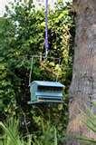 photos of Squirrel Proof Bird Feeders Heritage Farms