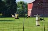 Bird Feeder Do Birds Like Best photos Bird Feeder Do Birds Like Best photos