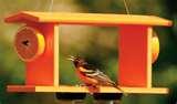 Bird Feeder Of Jelly images