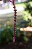 Bird Feeders Preschool Craft images Bird Feeders Preschool Craft images