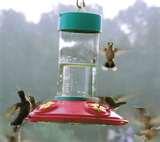 pictures of Bird Feeders Of Canada