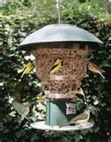 Bird Feeders In Ct images