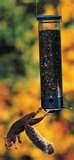 Bird Feeder Yankee Whipper images