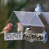 Bird Feeders Info pictures