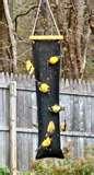 Bird Feeders Info Bird Feeders Info