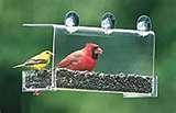 A Cardinal At A Bird Feeder Photos photos