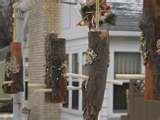 Bird Feeders Preschool Craft photos Bird Feeders Preschool Craft photos