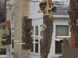 Bird Feeders Preschool Craft photos