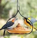 Bird Feeders Info images