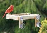 photos of Bird Feeders Supports