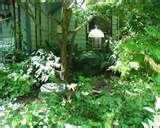 Bird Feeders Spread Disease photos Bird Feeders Spread Disease photos