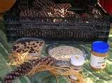 Bird Feeder Pinecone Peanut Butter pictures Bird Feeder Pinecone Peanut Butter pictures