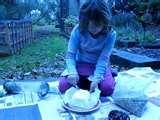 pictures of Bird Feeders Beginners pictures of Bird Feeders Beginners