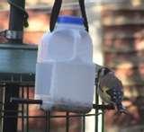Bird Feeder Egg Carton Bird Feeder Egg Carton