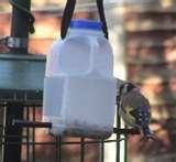 Bird Feeder Egg Carton