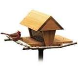 photos of Bird Feeder Shop