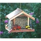 images of Bird Feeders Beginners images of Bird Feeders Beginners