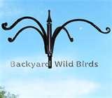 images of Bird Feeder Catalog images of Bird Feeder Catalog