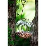 photos of Bird Feeders Beginners photos of Bird Feeders Beginners