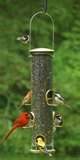Bird Feeders Beginners photos Bird Feeders Beginners photos