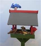 pictures of Bird Feeder Little Birds pictures of Bird Feeder Little Birds