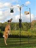 photos of Bird Feeder Catalog photos of Bird Feeder Catalog