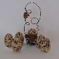 Bird Feeder Egg Carton images Bird Feeder Egg Carton images