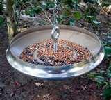 Bird Feeder By Birds images Bird Feeder By Birds images