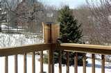 pictures of Bird Feeder Minnesota pictures of Bird Feeder Minnesota